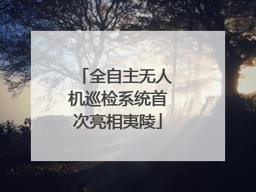 全自主无人机巡检系统首次亮相夷陵