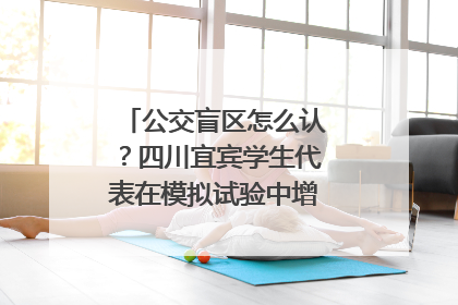 公交盲区怎么认？四川宜宾学生代表在模拟试验中增强乘车安全意识