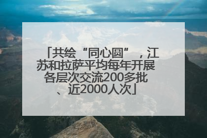 共绘“同心圆”，江苏和拉萨平均每年开展各层次交流200多批、近2000人次