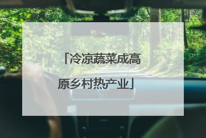 冷凉蔬菜成高原乡村热产业