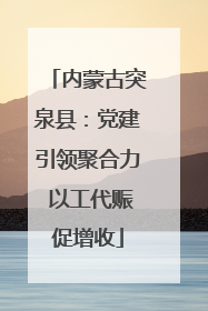 内蒙古突泉县：党建引领聚合力 以工代赈促增收