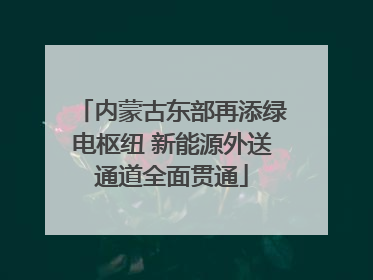 内蒙古东部再添绿电枢纽 新能源外送通道全面贯通