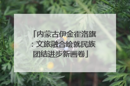 内蒙古伊金霍洛旗：文旅融合绘就民族团结进步新画卷