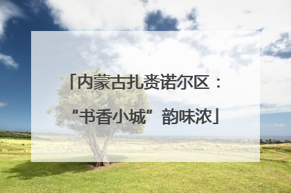 内蒙古扎赉诺尔区：“书香小城”韵味浓