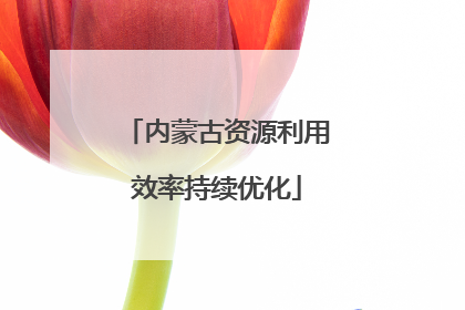 内蒙古资源利用效率持续优化