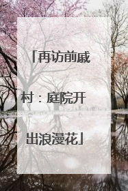 再访前戚村：庭院开出浪漫花