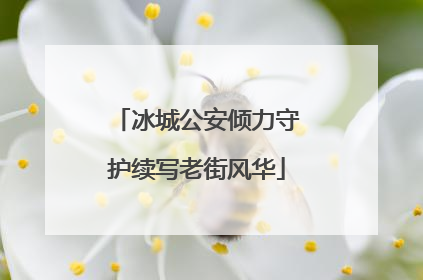 冰城公安倾力守护续写老街风华