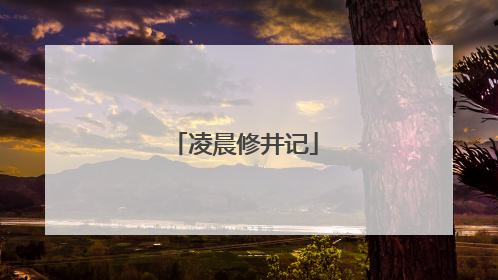 凌晨修井记
