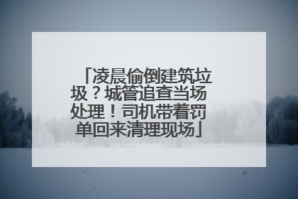 凌晨偷倒建筑垃圾？城管追查当场处理！司机带着罚单回来清理现场