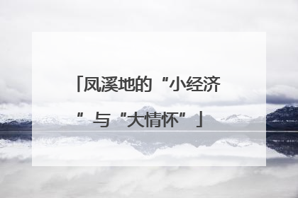 凤溪地的“小经济”与“大情怀”
