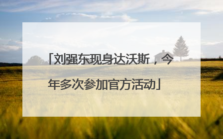 刘强东现身达沃斯，今年多次参加官方活动