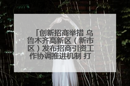 创新招商举措 乌鲁木齐高新区（新市区）发布招商引资工作协调推进机制 打造投资发展新高地