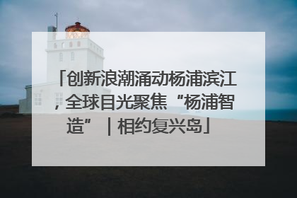 创新浪潮涌动杨浦滨江，全球目光聚焦“杨浦智造”｜相约复兴岛