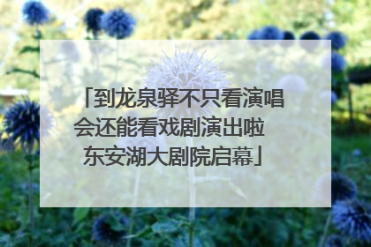 到龙泉驿不只看演唱会还能看戏剧演出啦 东安湖大剧院启幕