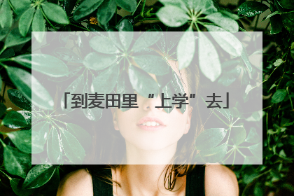 到麦田里“上学”去