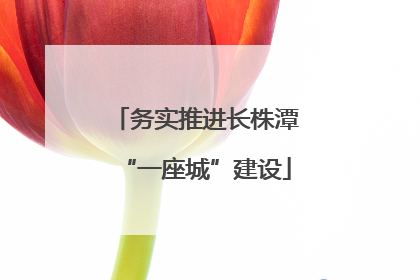 务实推进长株潭“一座城”建设