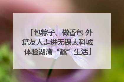 包粽子、做香包 外籍友人走进无锡太科城体验湖湾“趣”生活