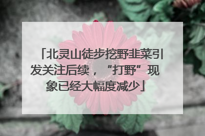 北灵山徒步挖野韭菜引发关注后续，“打野”现象已经大幅度减少