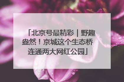 北京号最精彩｜野趣盎然！京城这个生态桥连通两大网红公园