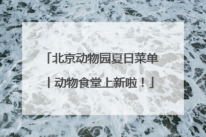 北京动物园夏日菜单丨动物食堂上新啦！