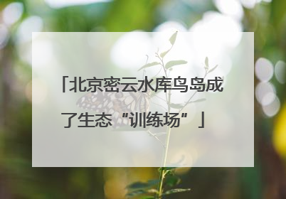 北京密云水库鸟岛成了生态“训练场”