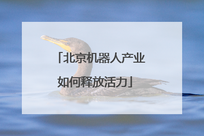 北京机器人产业如何释放活力