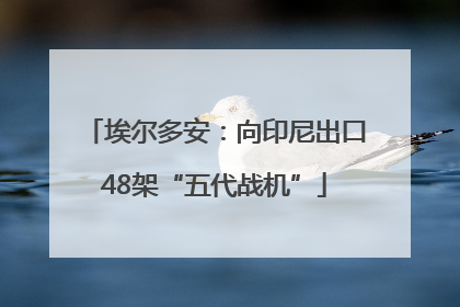埃尔多安：向印尼出口48架“五代战机”
