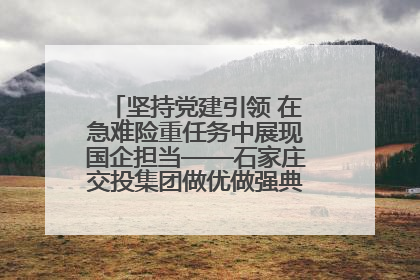 坚持党建引领 在急难险重任务中展现国企担当——石家庄交投集团做优做强典型报道之一