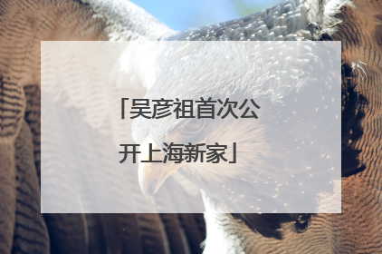 吴彦祖首次公开上海新家