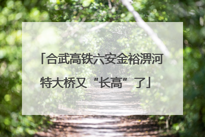 合武高铁六安金裕淠河特大桥又“长高”了
