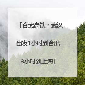 合武高铁：武汉出发1小时到合肥3小时到上海