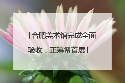 合肥美术馆完成全面验收，正筹备首展