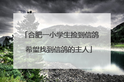 合肥一小学生捡到信鸽 希望找到信鸽的主人