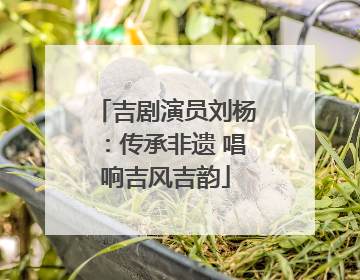 吉剧演员刘杨：传承非遗 唱响吉风吉韵