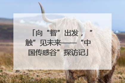 向“智”出发，“触”见未来——“中国传感谷”探访记