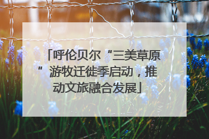 呼伦贝尔“三美草原”游牧迁徙季启动，推动文旅融合发展