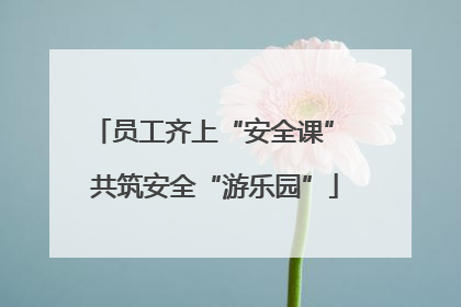 员工齐上“安全课” 共筑安全“游乐园”