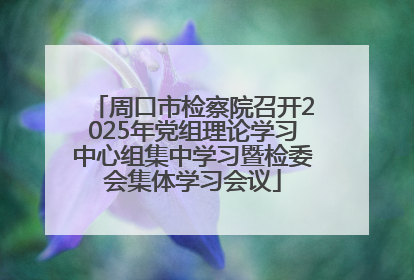 周口市检察院召开2025年党组理论学习中心组集中学习暨检委会集体学习会议