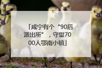 咸宁有个“90后派出所”，守望7000人鄂南小镇