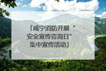 咸宁消防开展“安全宣传咨询日”集中宣传活动