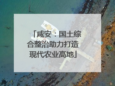 咸安：国土综合整治助力打造现代农业高地
