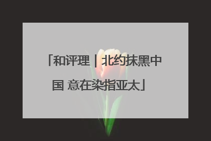 和评理｜北约抹黑中国 意在染指亚太