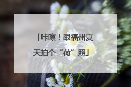 咔嚓！跟福州夏天拍个“荷”照
