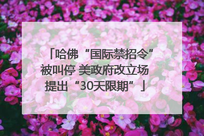 哈佛“国际禁招令”被叫停 美政府改立场提出“30天限期”