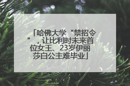 哈佛大学“禁招令”，让比利时未来首位女王、23岁伊丽莎白公主难毕业