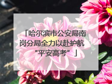 哈尔滨市公安局南岗分局全力以赴护航“平安高考”