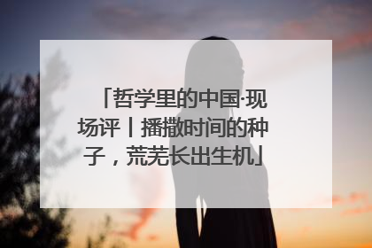 哲学里的中国·现场评丨播撒时间的种子，荒芜长出生机