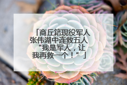 商丘籍现役军人张伟湖中连救五人 “我是军人，让我再救一个！”