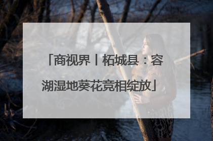 商视界丨柘城县：容湖湿地葵花竞相绽放