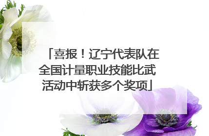喜报！辽宁代表队在全国计量职业技能比武活动中斩获多个奖项